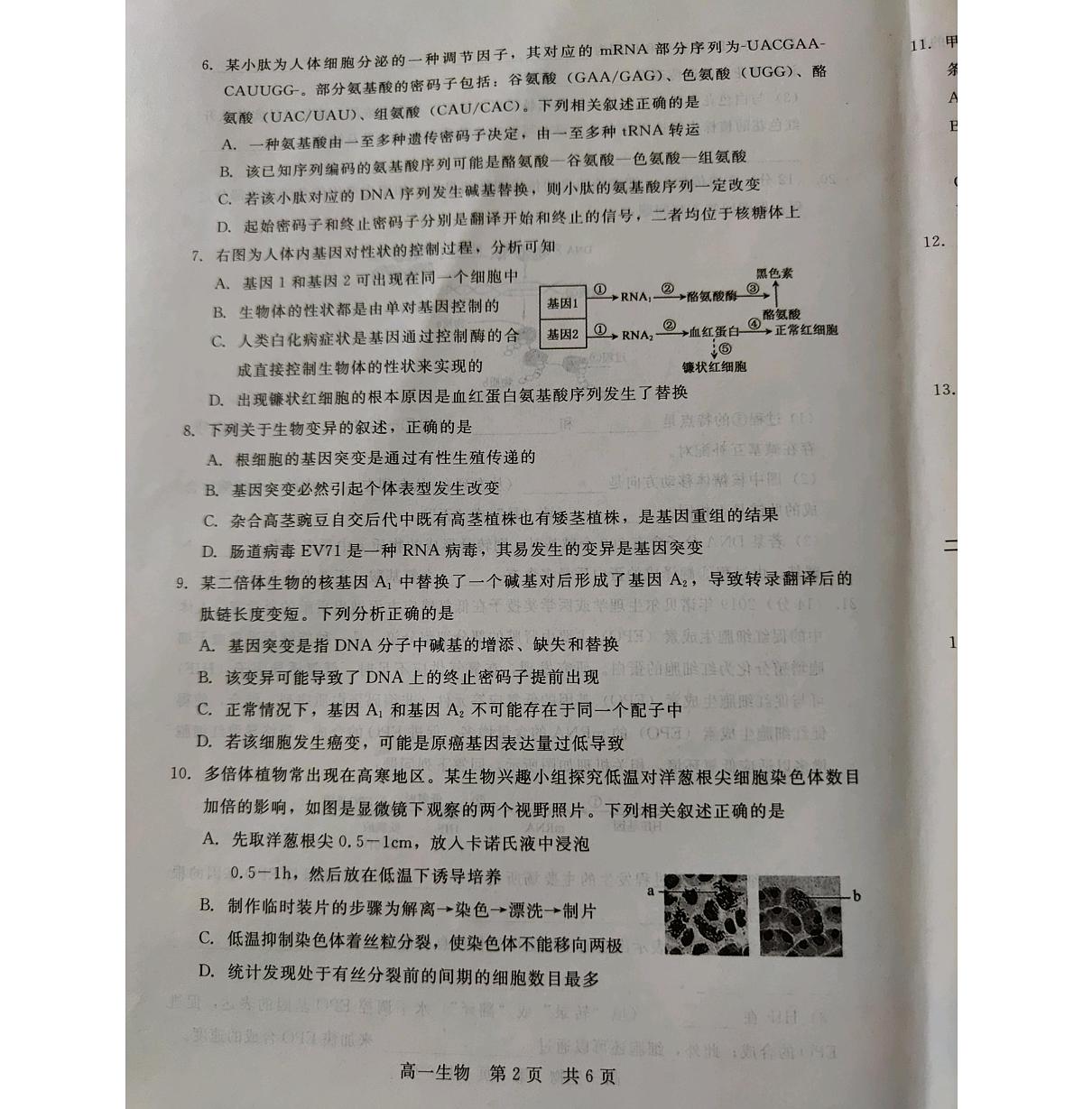 河北省张家口市尚义县第一中学2022-2023学年高一下学期6月月考 生物试卷（含答案）第2页