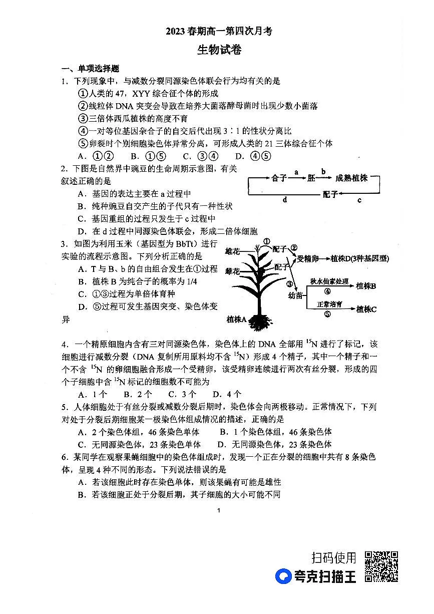 河南省南阳市第一中学校2022-2023学年高一下学期第四次月考生物试题（含答案）第1页
