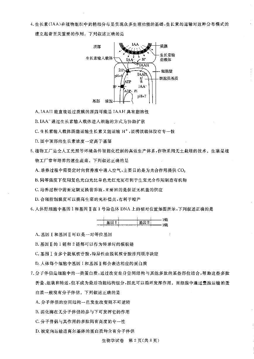 湖北省高中名校联盟2022-2023学年高一下学期5月联合测评生物试卷（含答案）第2页