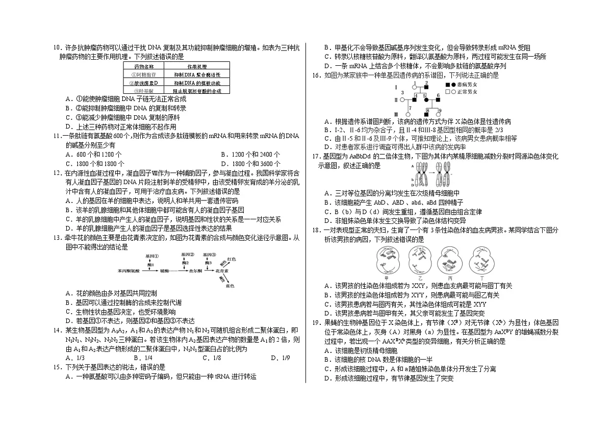 吉林省长春市朝阳区长春外国语学校2022-2023学年高一下学期6月月考生物试题（含答案）第2页