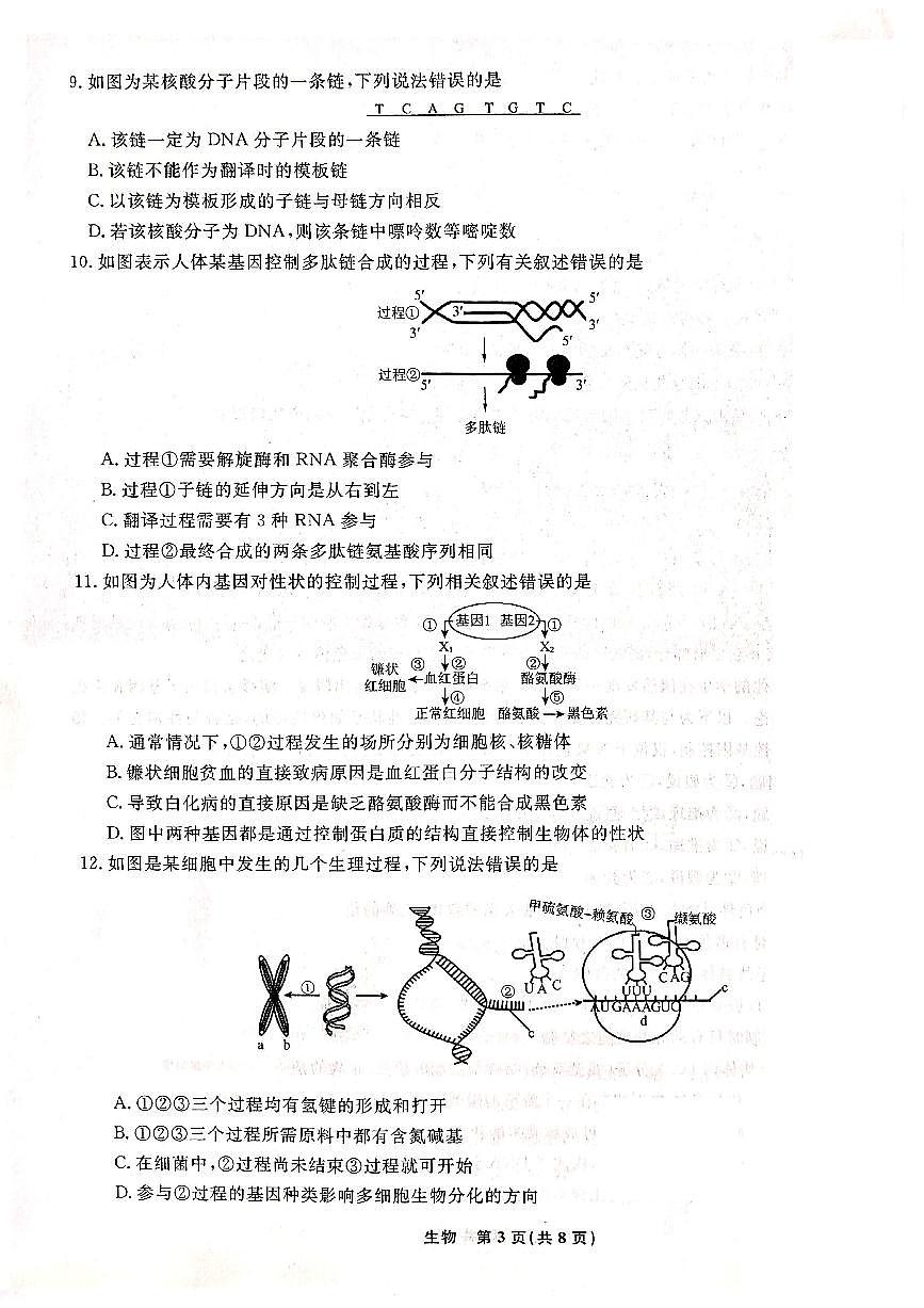 辽宁省名校联盟2022-2023学年高一下学期6月联合考试 生物试卷（含答案）第3页