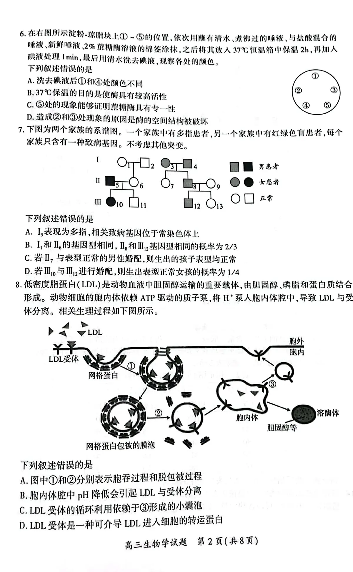 生物-福建省厦门市2025届高三毕业班下学期5月第四次质量检测试题及答案第2页