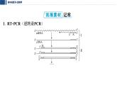 第十单元 2026届高中生物学一轮复习 拓展微课7　PCR技术和基因编辑技术 课件