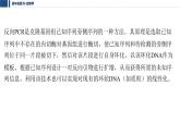 第十单元 2026届高中生物学一轮复习 拓展微课7　PCR技术和基因编辑技术 课件