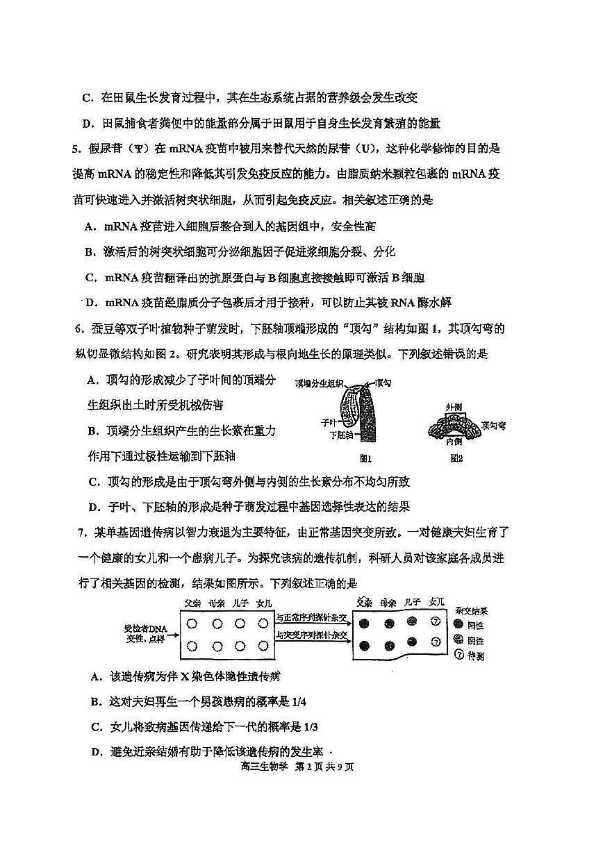 2025年天津市红桥区高三二模生物试题及答案第2页