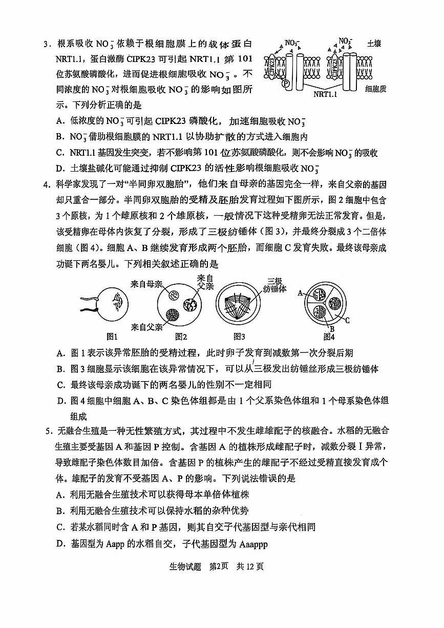 2025届山东省实验中学高三一模第一次模拟考试 生物试题及答案第2页