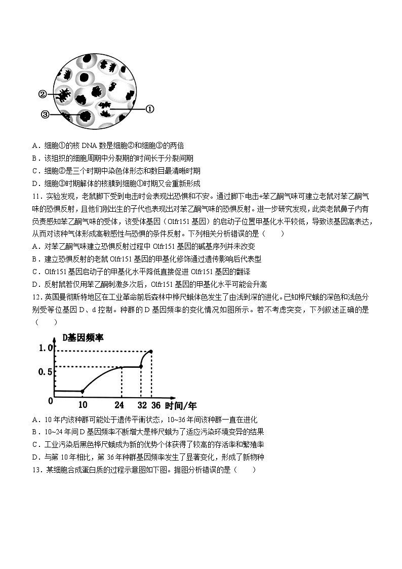 浙江省浙南名校2023-2024学年高二下学期6月期末联考 生物试题（含答案）第3页