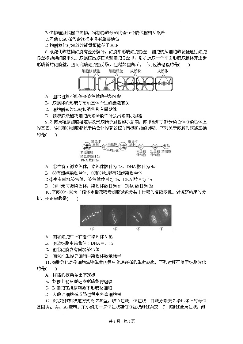 高一生物试题考试板第3页