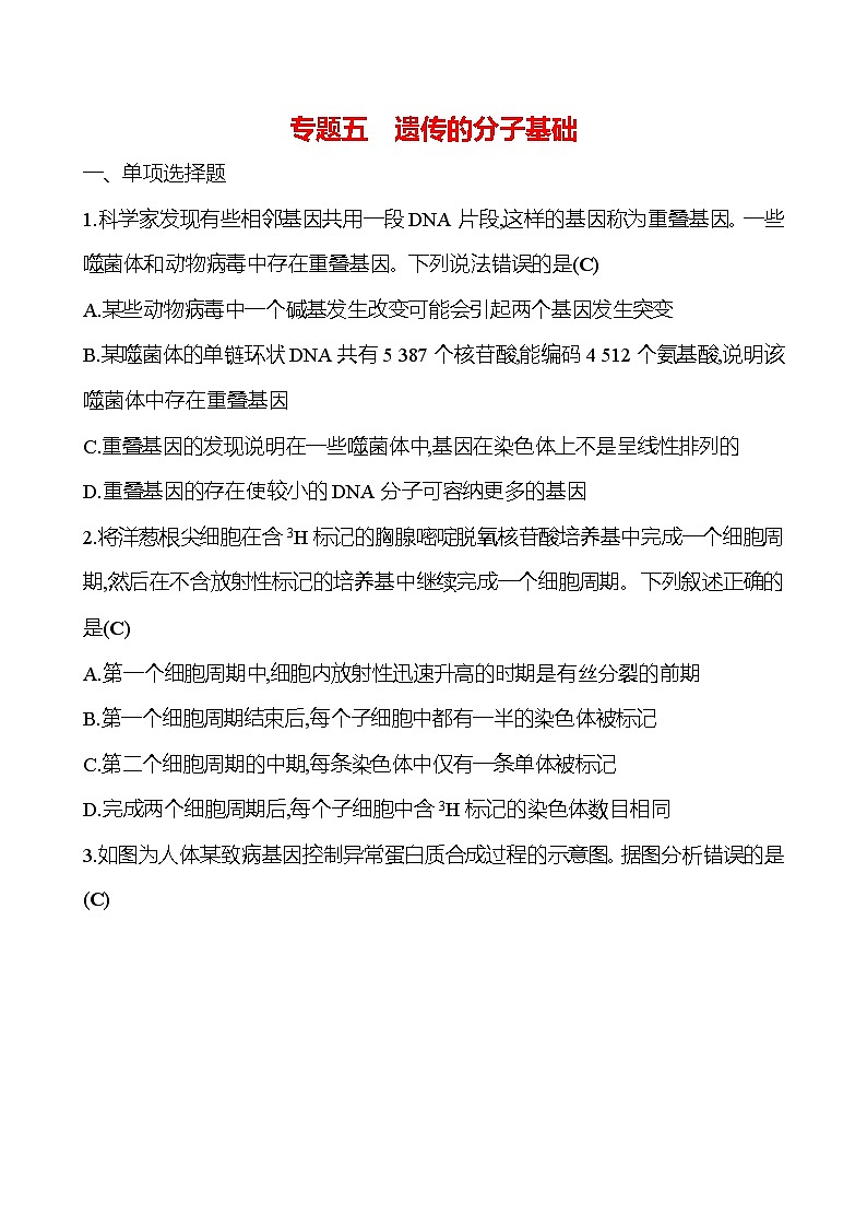 2025版高考生物热点题型与考点专练专题五遗传的分子基础试题（Word版附答案）第1页