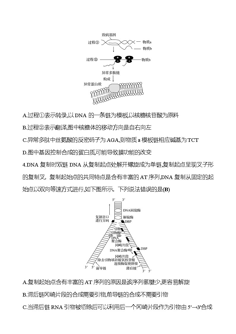 2025版高考生物热点题型与考点专练专题五遗传的分子基础试题（Word版附答案）第2页