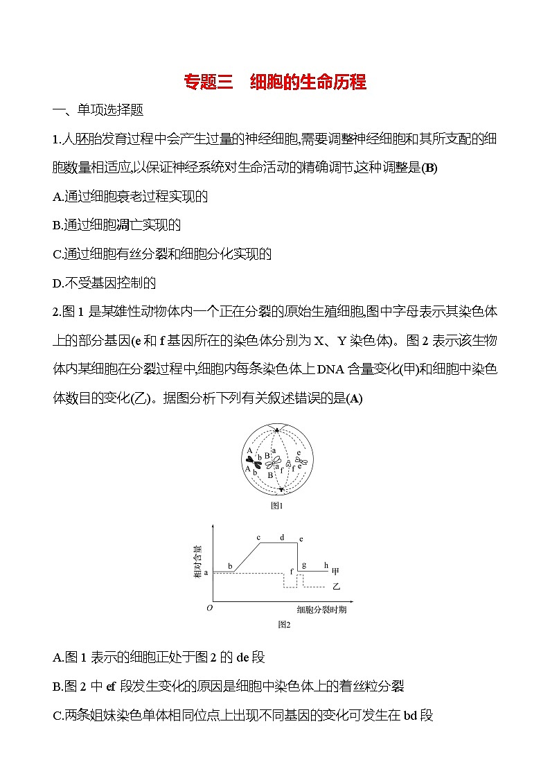 2025版高考生物热点题型与考点专练专题三细胞的生命历程试题（Word版附答案）第1页