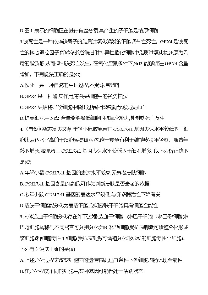 2025版高考生物热点题型与考点专练专题三细胞的生命历程试题（Word版附答案）第2页