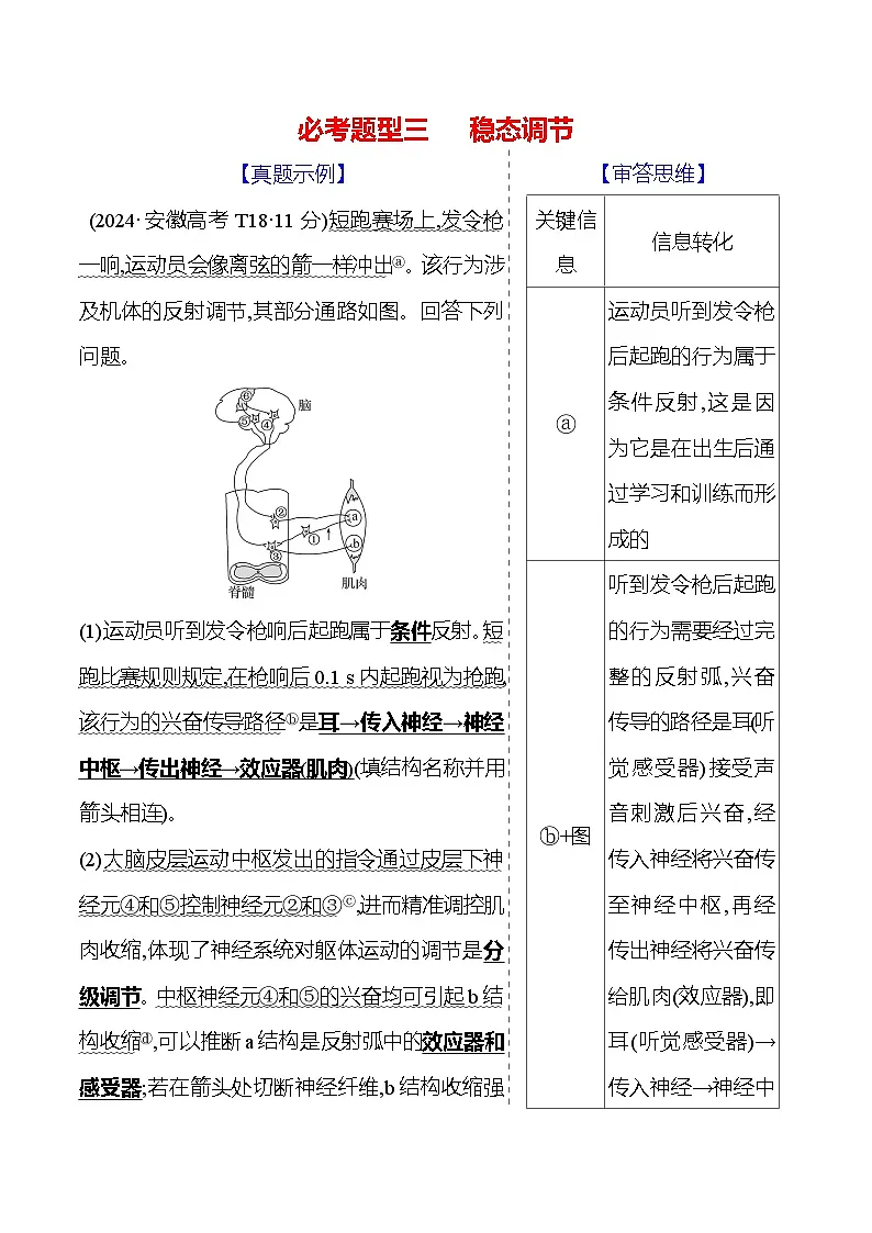 2025版高考生物热点题型与考点专练二必考题型三稳态调节试题（Word版附答案）第1页