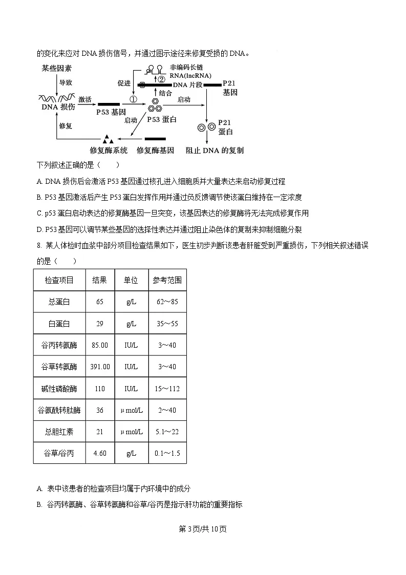 2025届安徽省皖南八校高三下学期第三次联考生物试卷（原卷版）第3页