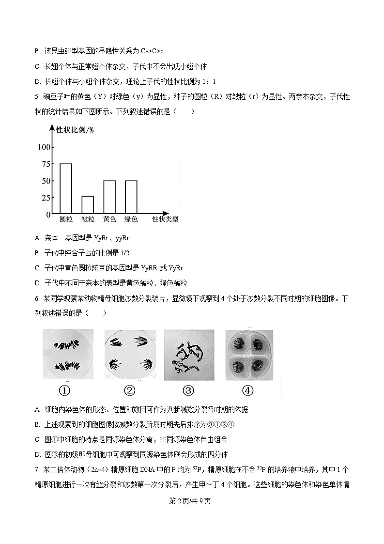 安徽省合肥市普通高中六校联盟2024-2025学年高一下学期4月期中生物试题（原卷版）第2页