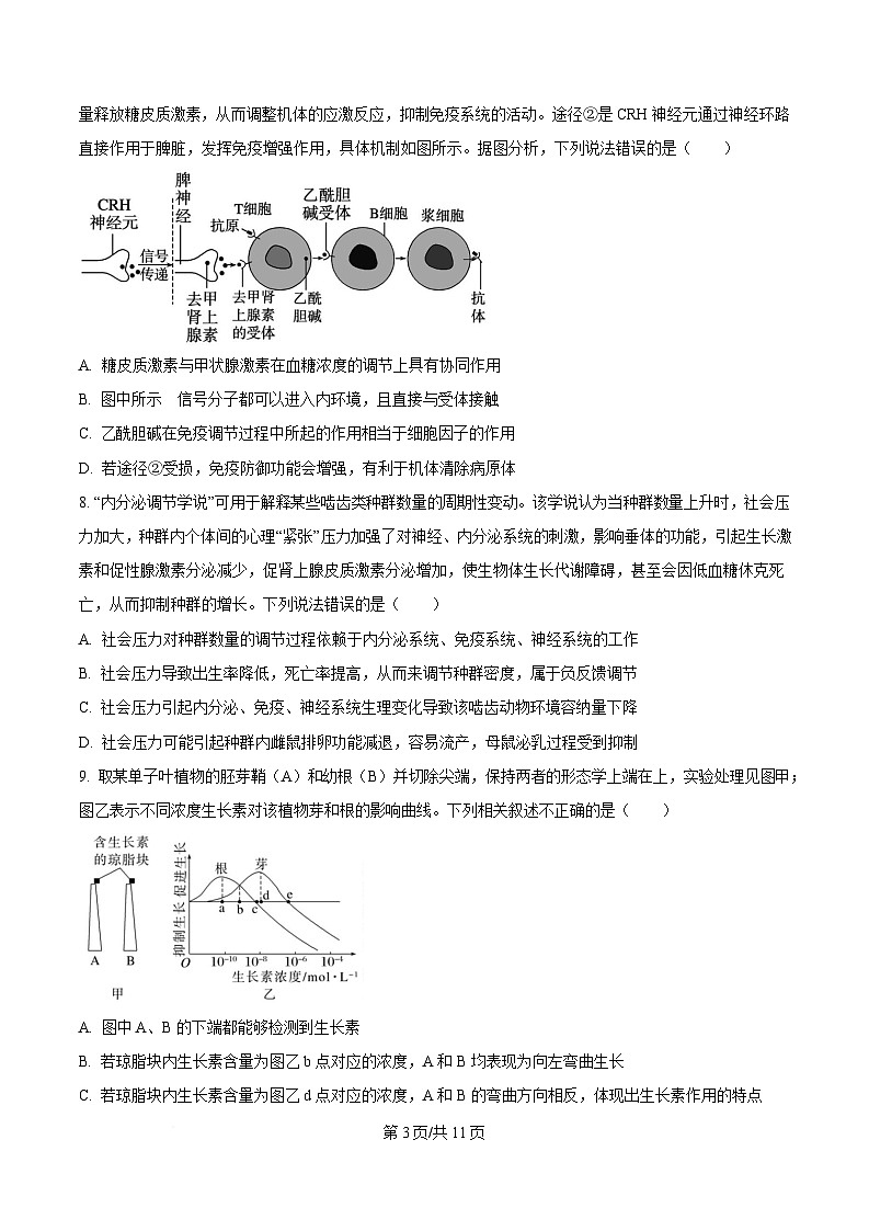 安徽省合肥市六校联考2024-2025学年高二上学期1月期末生物试题（原卷版）第3页