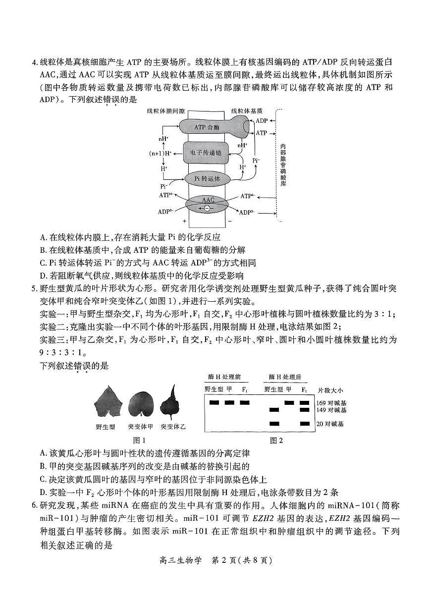 生物丨江西省稳派上进联考2025届高三下学期5月联合测评试卷及答案第2页