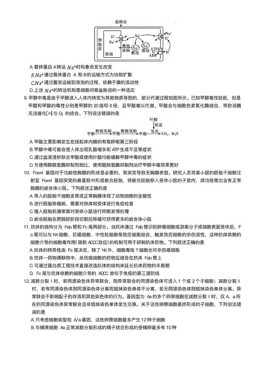 生物丨湖南省长沙市湖南师范大学附属中学2025届高三下学期5月模拟考试（二）试卷及答案第3页