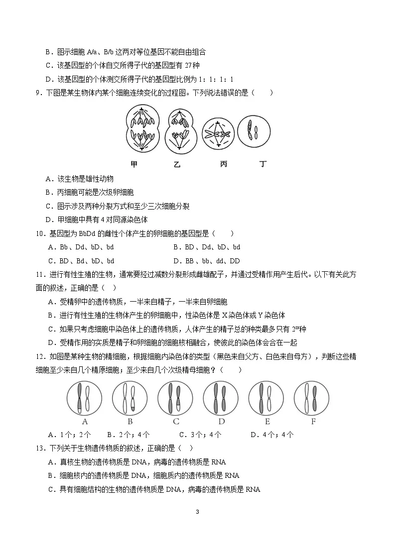 高一生物月考卷（人教版2019必修2,1~5章）-高中下学期第三次月考 高一生物月考卷【测试范围：必修2第1~5章】（考试版）（人教版2019）第3页