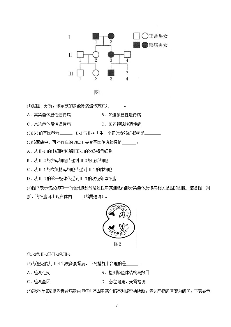 高一生物月考卷【测试范围：必修二第四章】（考试版）（沪科技2020版）第3页
