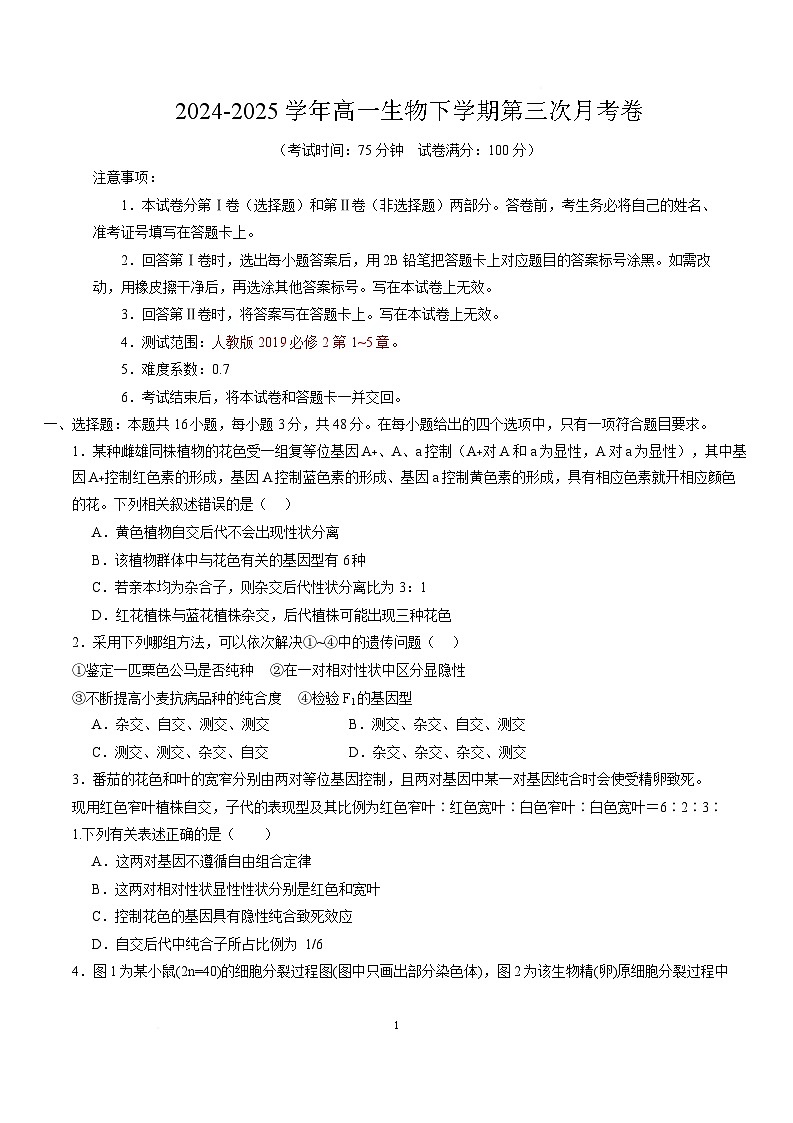 高一生物月考卷（新八省通用，人教版2019必修2第1~5章）-高中下学期第三次月考 高一生物月考卷【测试范围：必修2第1~5章】（考试版）（新八省）第1页