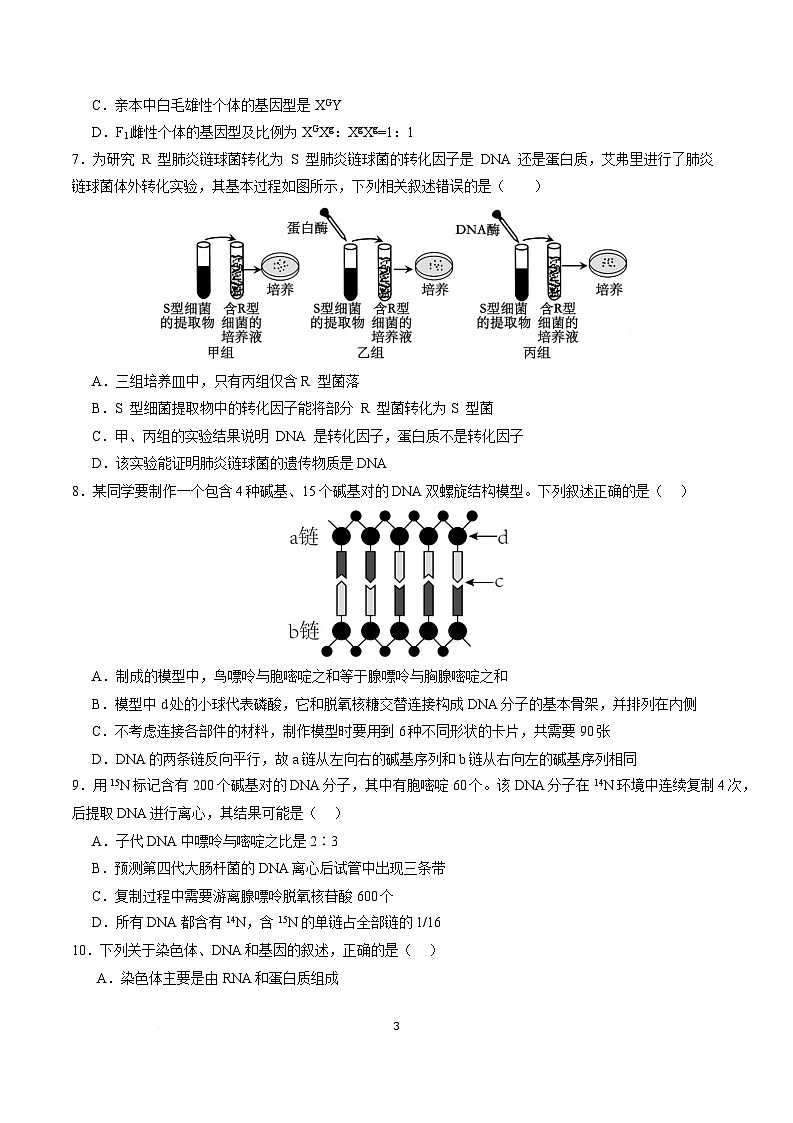 高一生物月考卷（新八省通用，人教版2019必修2第1~5章）-高中下学期第三次月考 高一生物月考卷【测试范围：必修2第1~5章】（考试版）（新八省）第3页