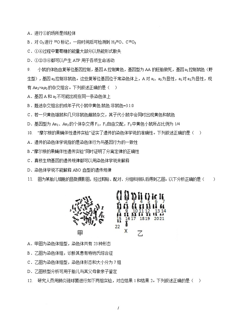 高一生物月考卷【测试范围：浙科版必修一至必修二第四章】（考试版）第3页