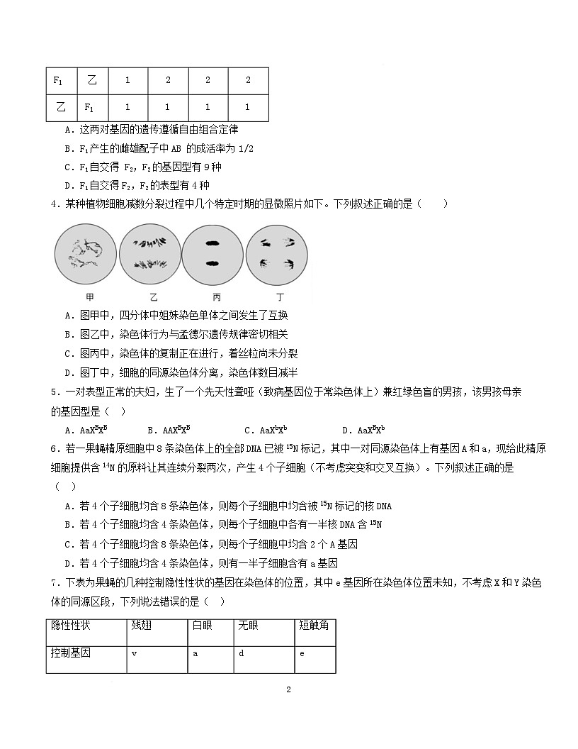 高一生物月考卷【黑吉辽蒙专用，人教版2019必修2前5章】（考试版A4）第2页