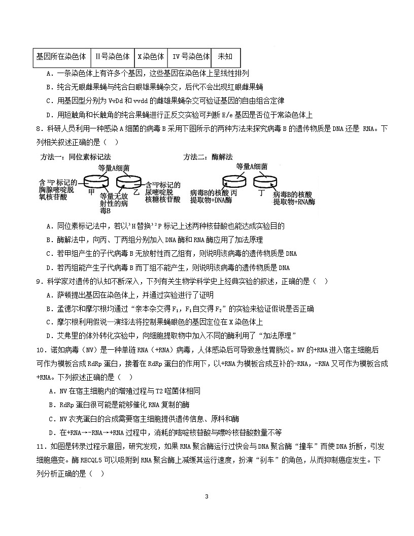 高一生物月考卷【黑吉辽蒙专用，人教版2019必修2前5章】（考试版A4）第3页