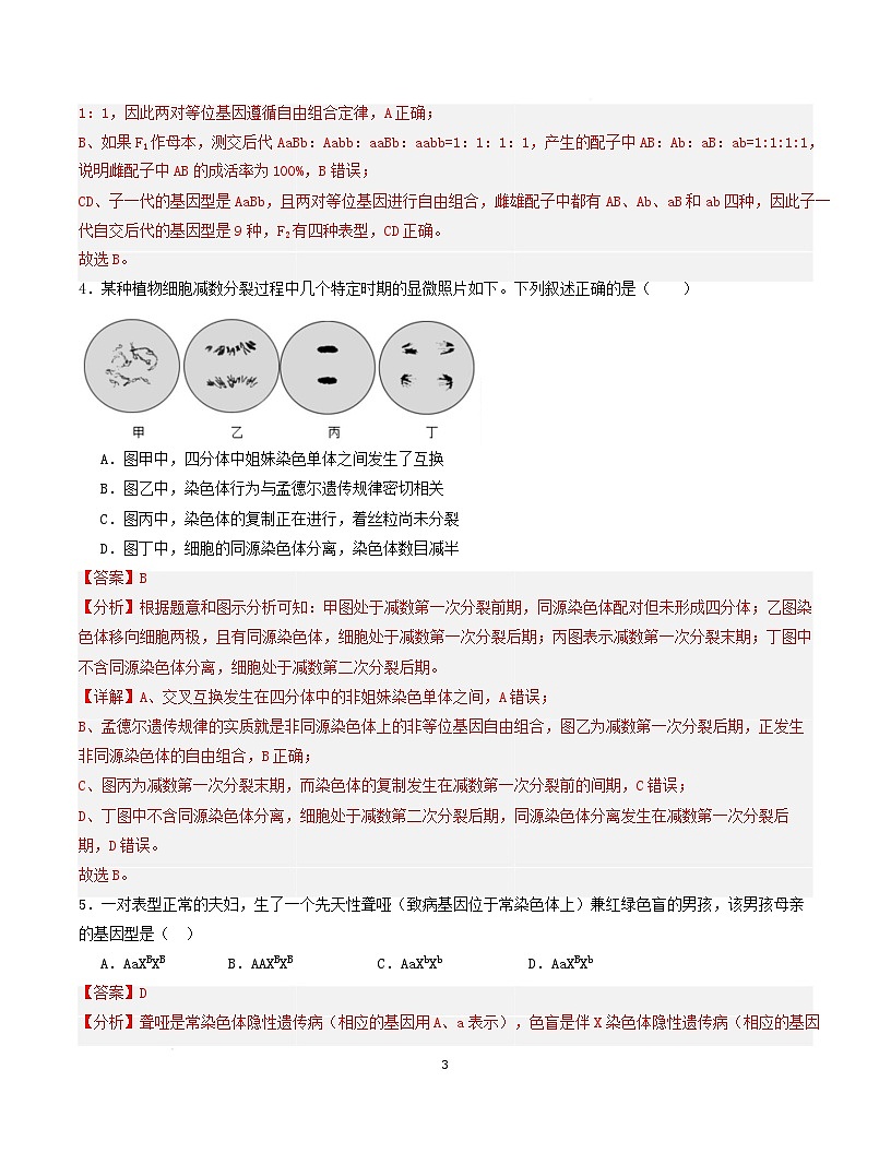 高一生物月考卷【黑吉辽蒙专用，人教版2019必修2前5章】（解析版）第3页