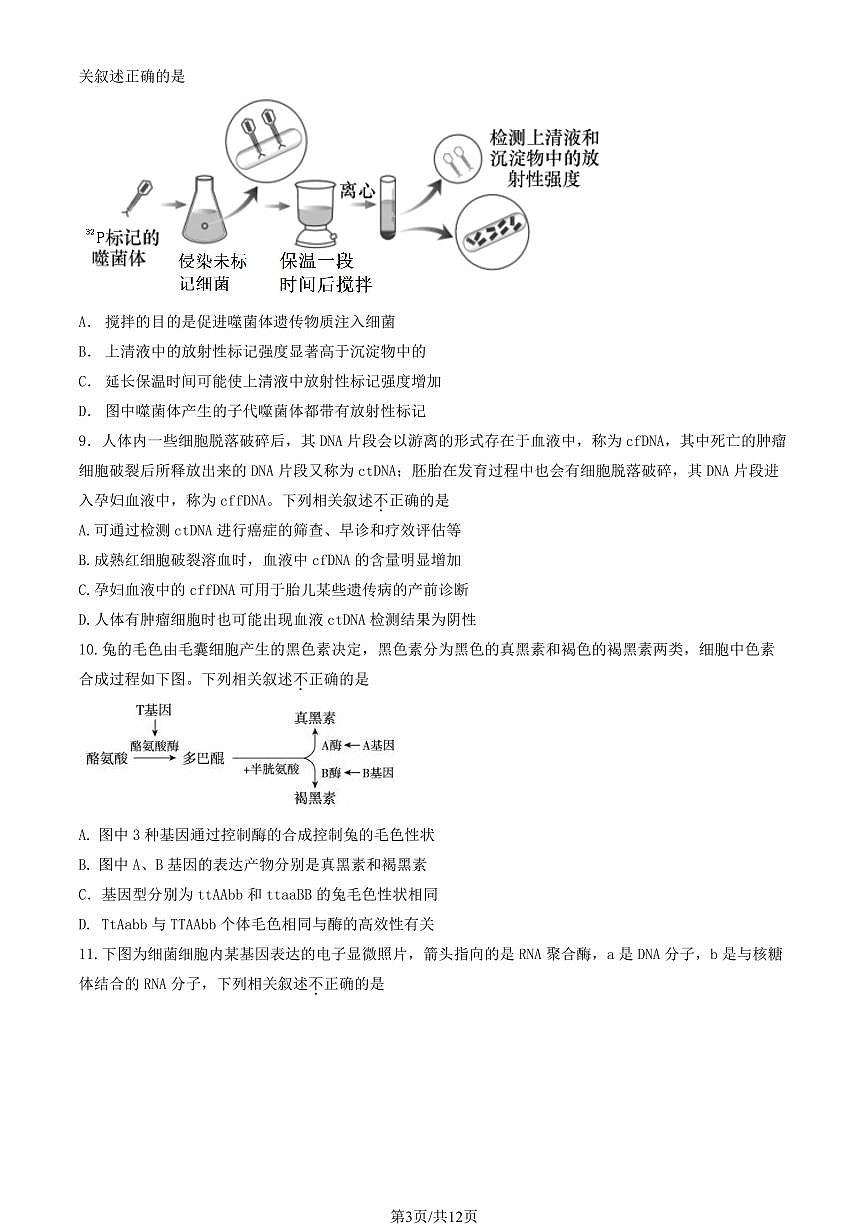 2022-2023学年北京朝阳区高一下学期期末生物试卷（含答案）第3页
