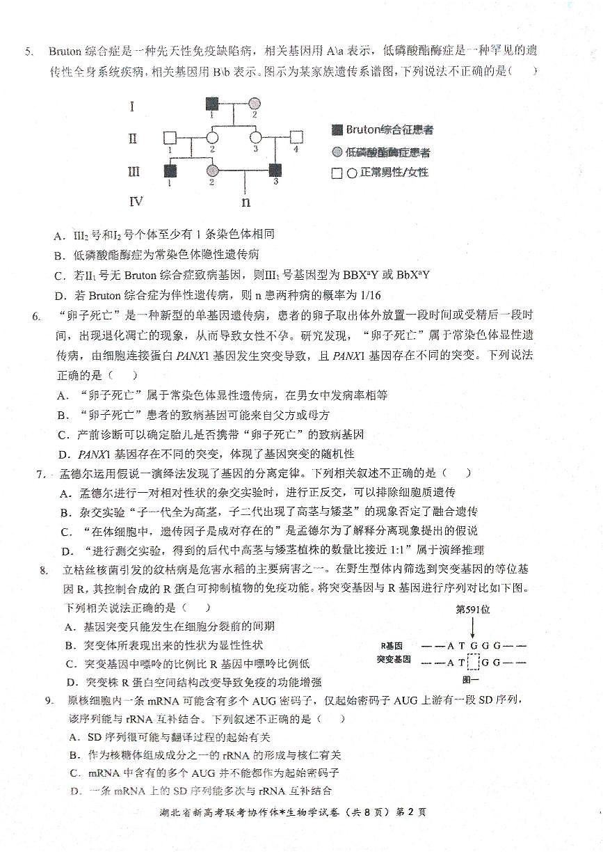 湖北省新高考联考协作体2022-2023学年高一下学期期末 生物试卷（含答案）第2页