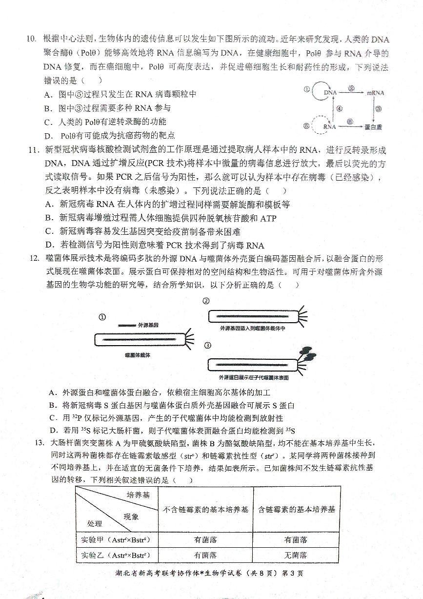 湖北省新高考联考协作体2022-2023学年高一下学期期末 生物试卷（含答案）第3页