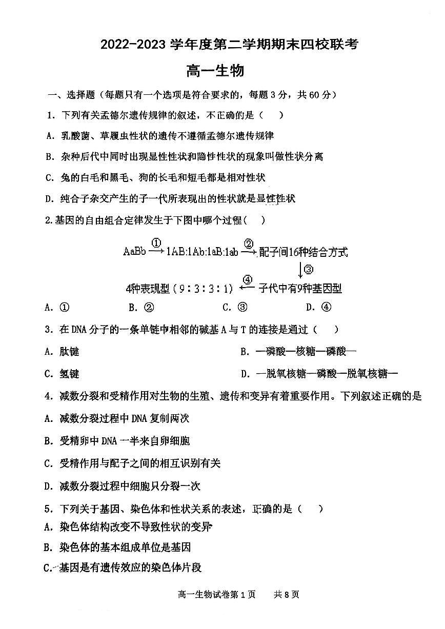 天津市四校联考2022-2023高一下学期期末考试 生物试卷（含答案）第1页