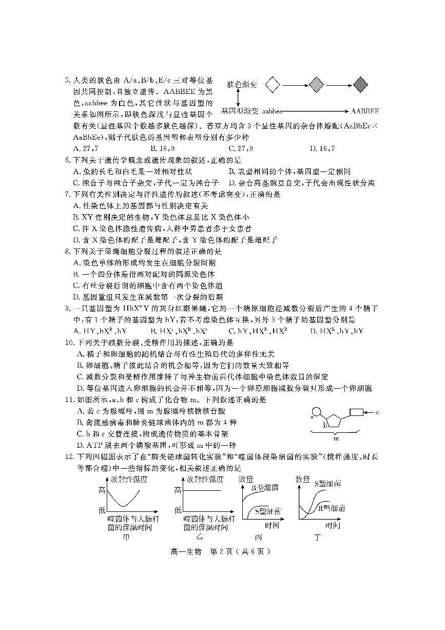 四川省乐山市2022-2023学年高一下学期期末考试+生物试卷（含答案）第2页