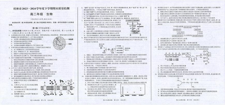 广西桂林市2023-2024学年高二下学期期末质量检测 生物试卷（含答案）第1页