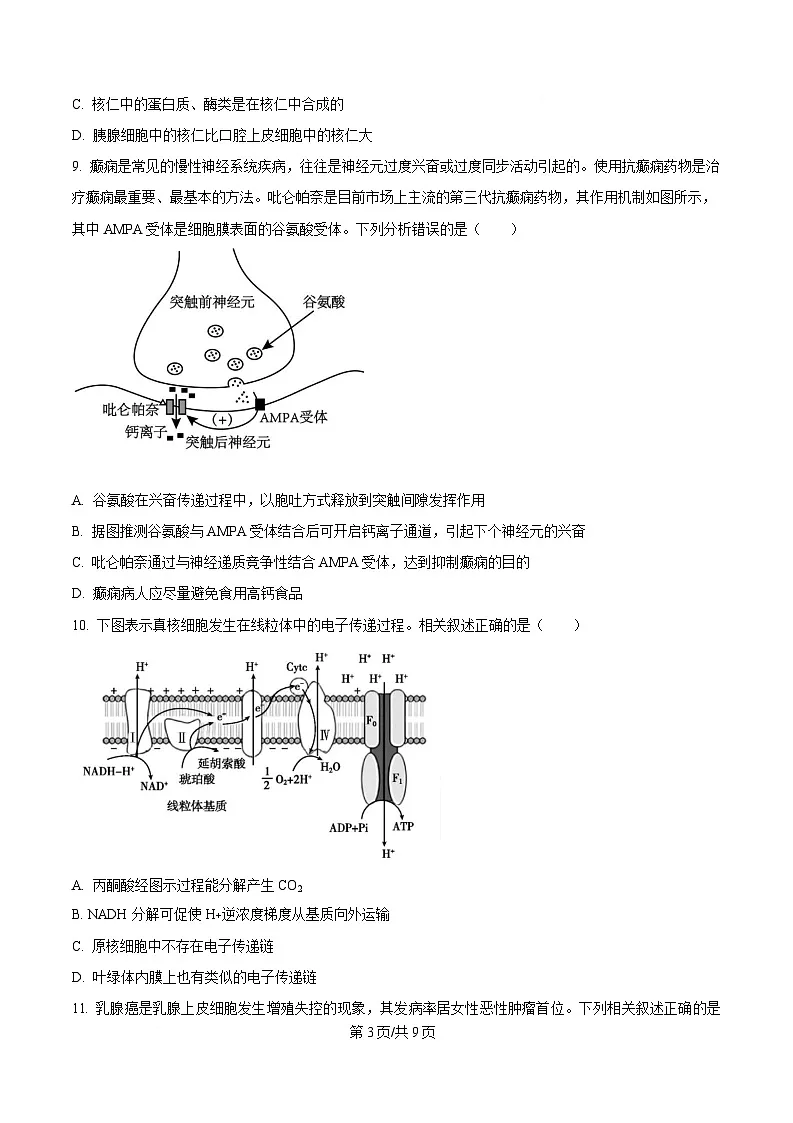 安徽省阜阳市临泉县田家炳实验中学2024-2025学年高三下学期4月期中生物试题（原卷版）第3页