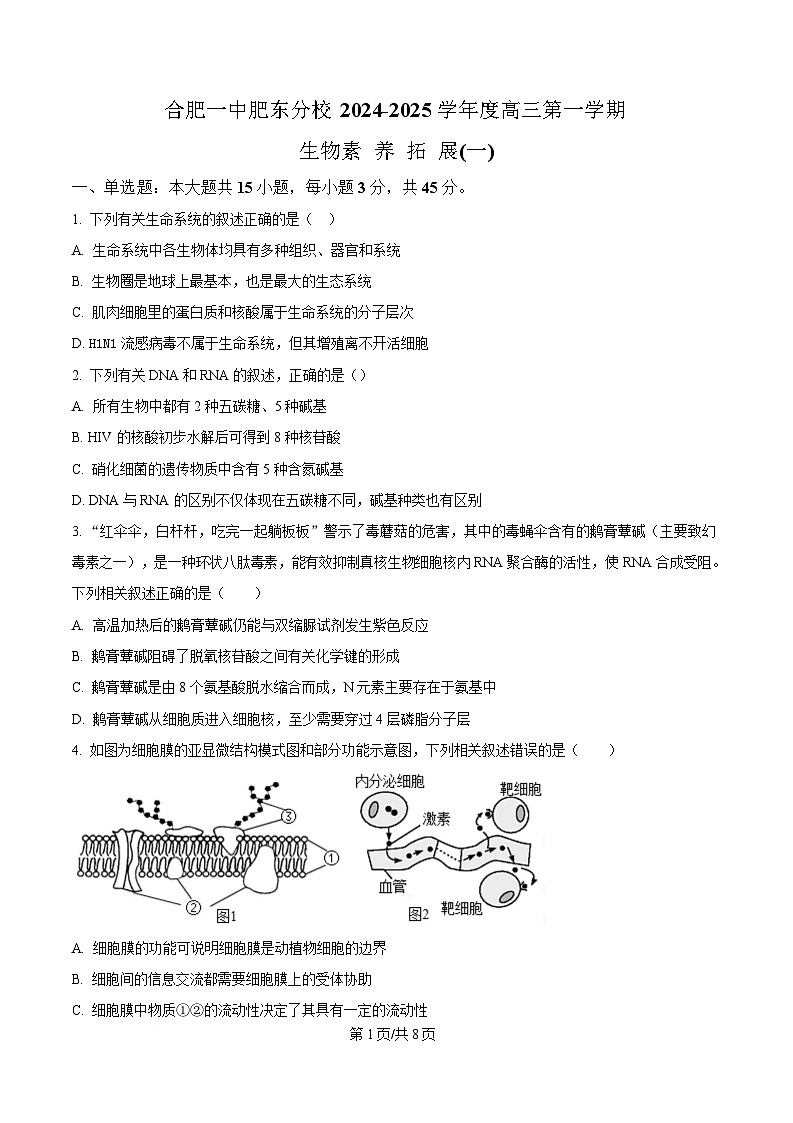 安徽省合肥市合肥一中肥东分校2024-2025学年高三上学期第一次素养拓展生物试题（原卷版）第1页