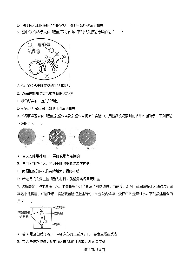 安徽省合肥市合肥一中肥东分校2024-2025学年高三上学期第一次素养拓展生物试题（原卷版）第2页