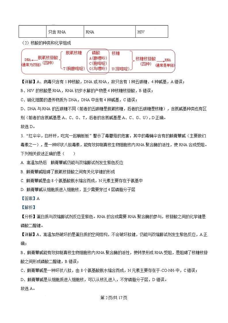 安徽省合肥市合肥一中肥东分校2024-2025学年高三上学期第一次素养拓展生物试题 Word版含解析第2页