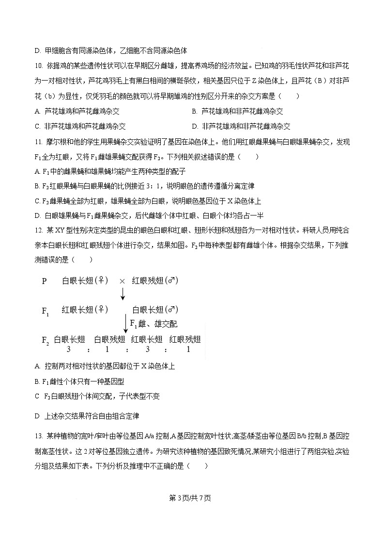 安徽省阜阳市临泉县田家炳实验中学（临泉县教师进修学校）2024-2025学年高一下学期4月期中生物试题（原卷版）第3页