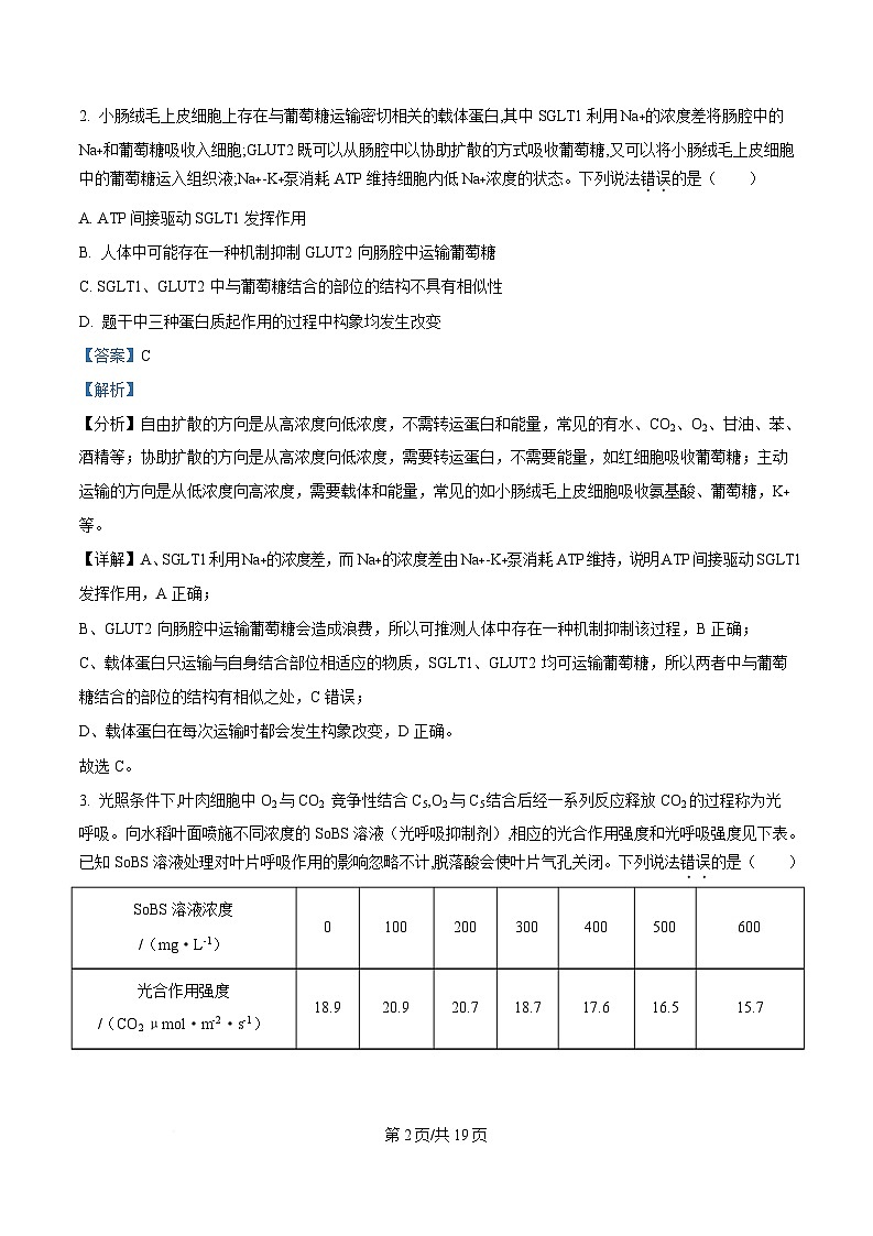 安徽省阜阳市临泉县安徽省临泉第二中学2024-2025学年高三下学期4月期中生物试题 Word版含解析第2页