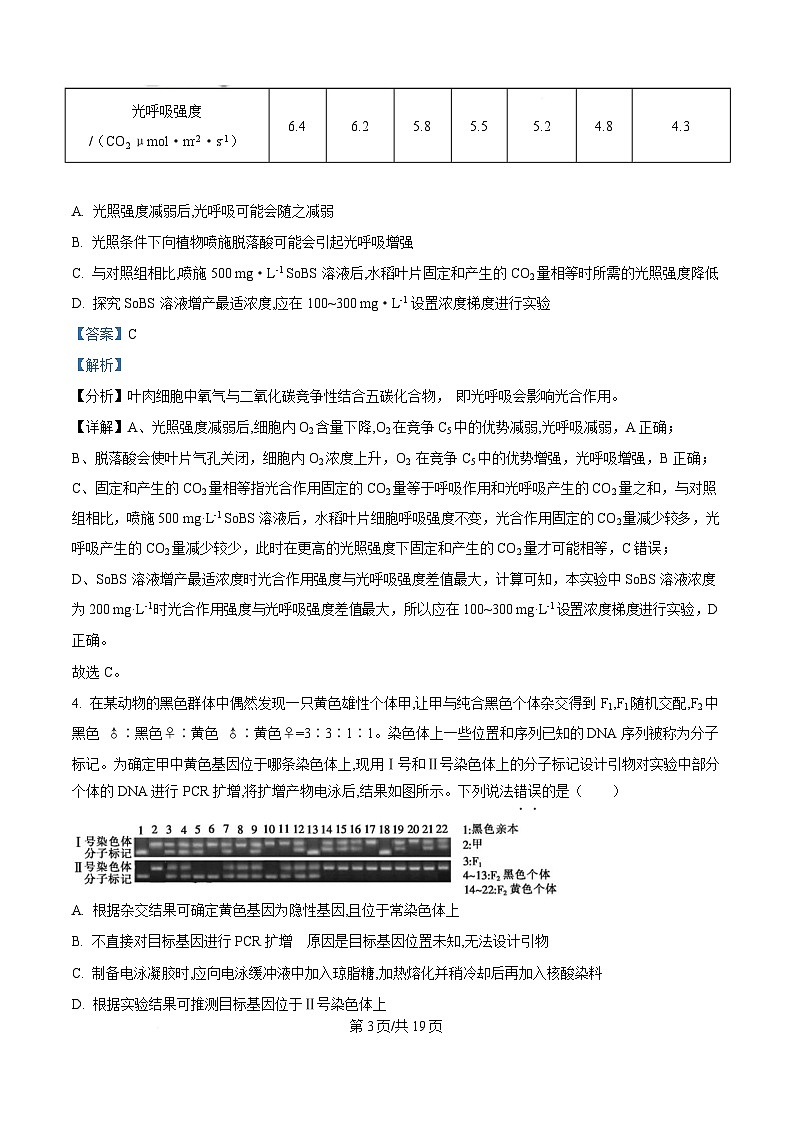 安徽省阜阳市临泉县安徽省临泉第二中学2024-2025学年高三下学期4月期中生物试题 Word版含解析第3页