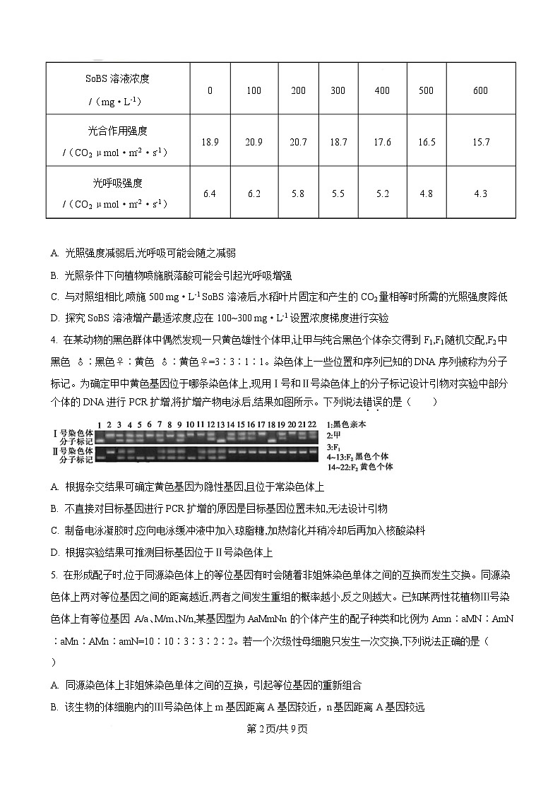 安徽省阜阳市临泉县安徽省临泉第二中学2024-2025学年高三下学期4月期中生物试题（原卷版）第2页
