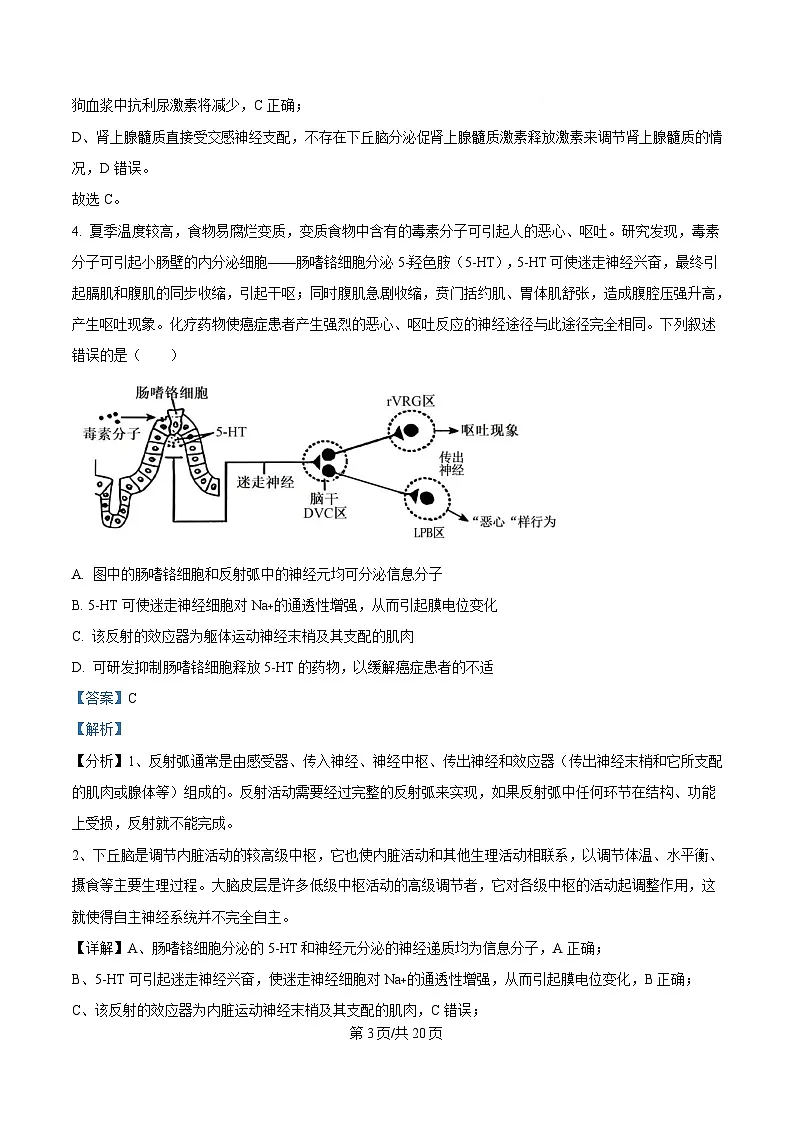 安徽省阜阳市颍州区阜阳市第三中学2024-2025学年高二下学期4月月考生物试题 Word版含解析第3页