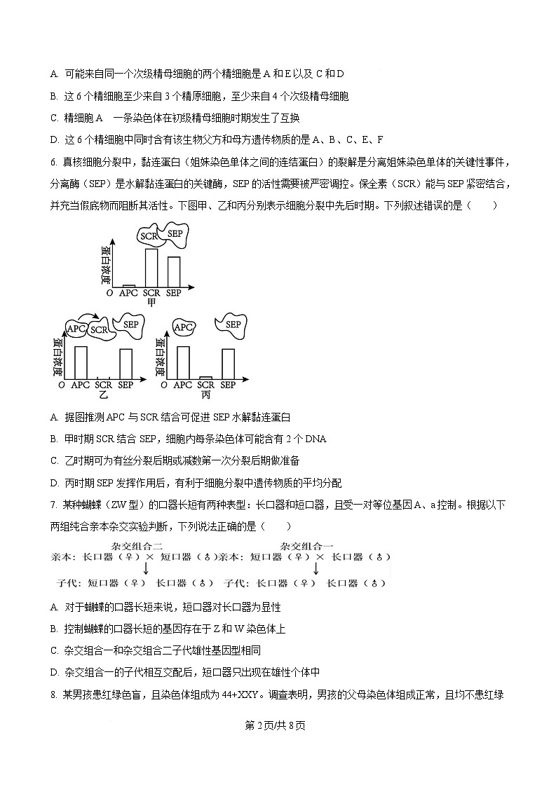 安徽省安庆市潜山市安徽省潜山第二中学2024-2025学年高一下学期期中测试考前生物练习（原卷版）第2页