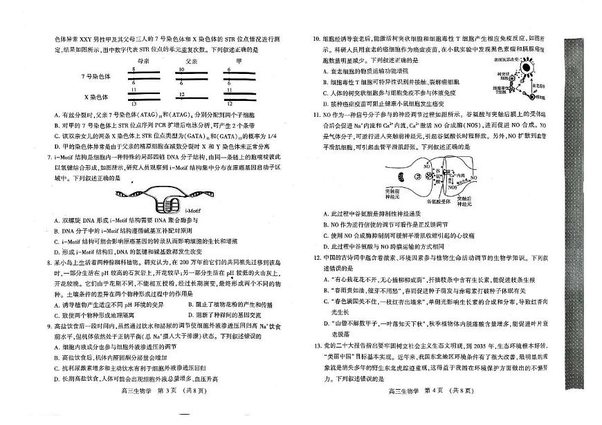 河南省豫西北教研联盟（许平洛济）2025届高三下学期第三次质量检测生物试卷+答案第2页