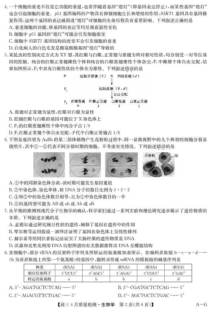 四川省九师联盟2025届高三仿真模拟卷生物 (AG)第2页