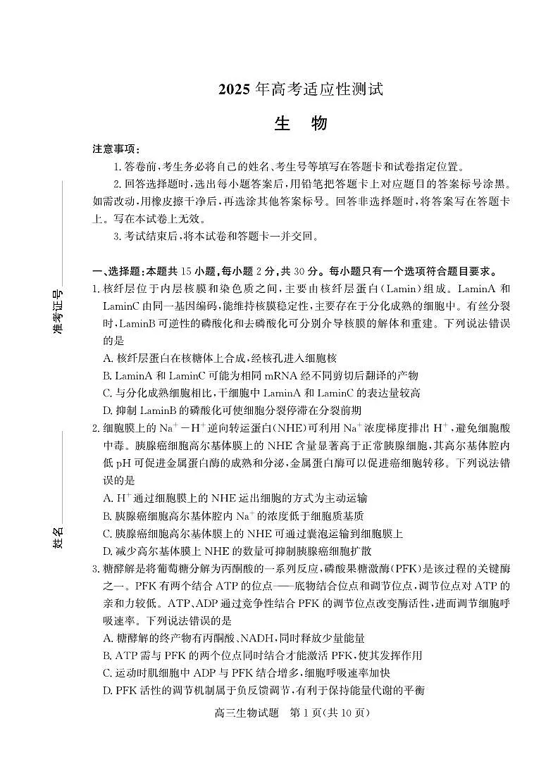 山东省（烟台市、德州市）2025届高三高考适应性测试生物第1页