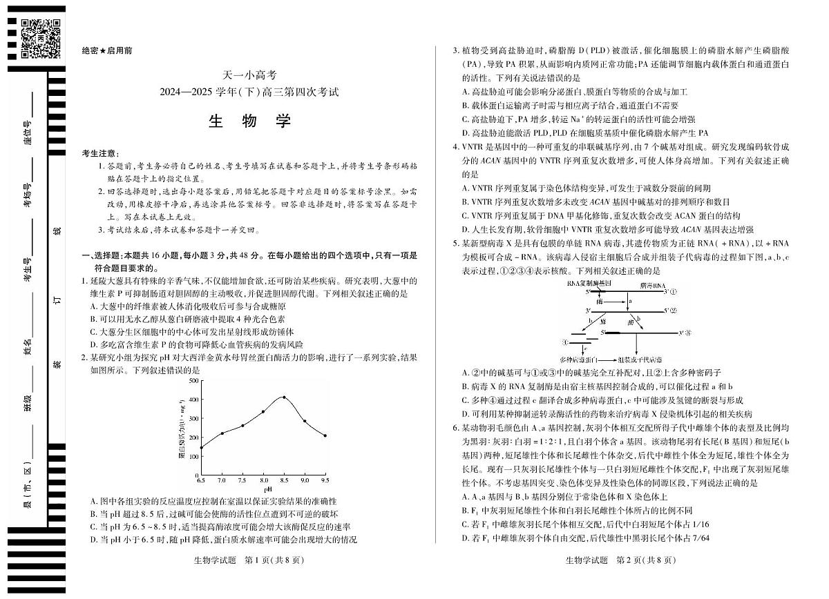 天一大联考·天一小高考2024-2025学年（下）高三第四次考试生物第1页